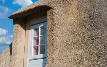 Boon thatch roof disadvantages